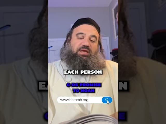 God's Promise to Noah #Torah #OrthodoxJudaism #RabbiYaronReuven #Judaism