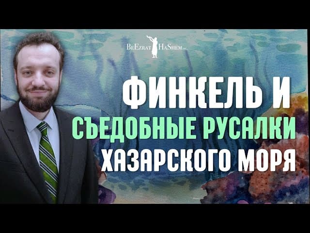 🐟 Финкель и Съедобные Русалки Хазарского Моря 🫧 #Тора