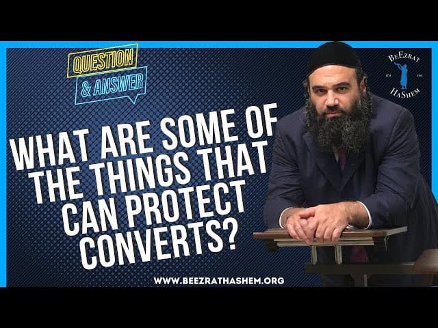   WHAT ARE SOME OF THE THINGS THAT CAN PROTECT CONVERTS