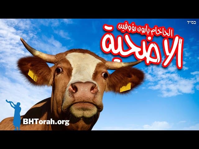 فصل ويكرا - ما نتعلمه من الأضاحي الحيوانية.