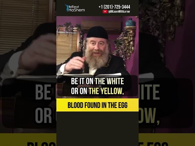 Blood Found In The Egg 🩸Follow the Laws #shorts #Torah