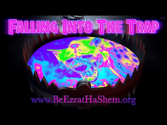 Falling Into The Trap