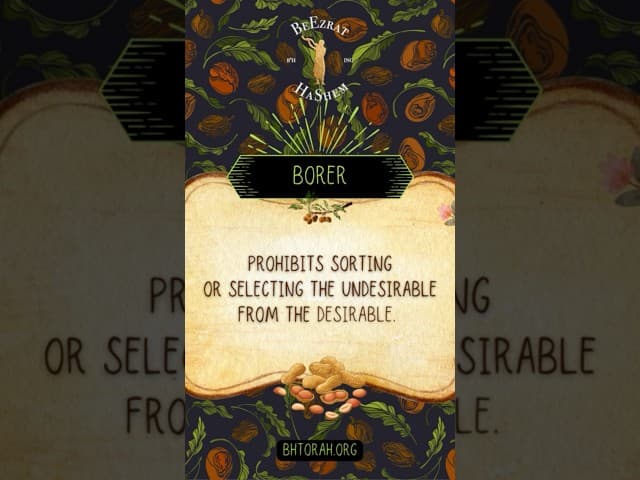 Melachot Shabbat : Borer