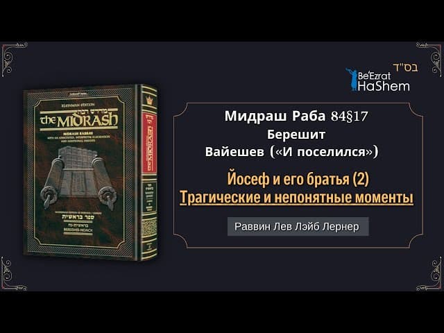 (2) Йосеф и его братья. Трагические и непонятные моменты | Мидраш Раба, 84 | Берешит (Вайешев)