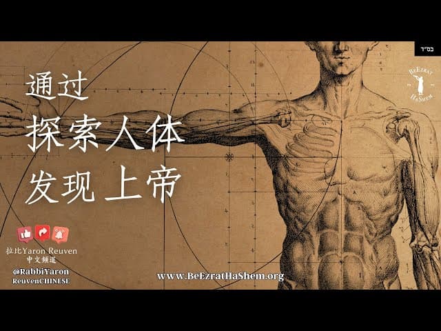 人体中的《妥拉》证明