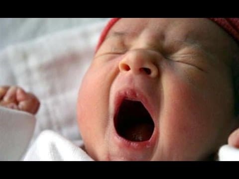 מידת העצלנות, איך להתגבר על העצלות ולהצליח בחיים מהרב אפרים כחלון שליט"א