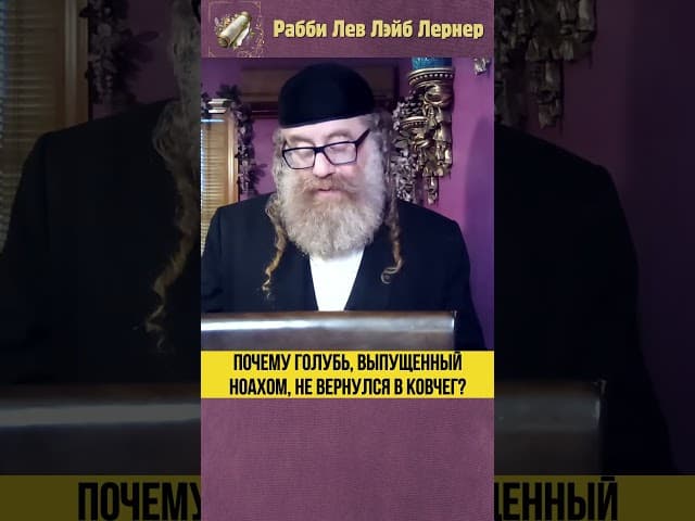 Почему голубь, выпущенный Ноахом, не вернулся в Ковчег? #Тора #shorts