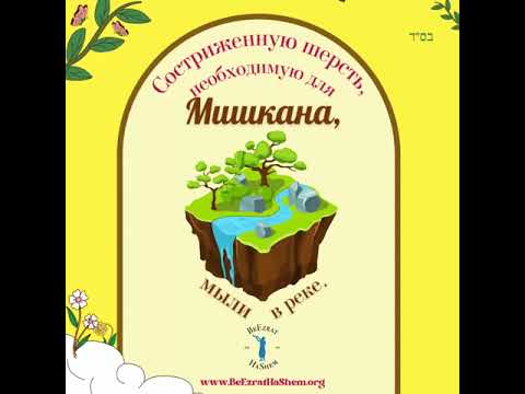 Мелаха Мелабин "Выжимание" (часть 3)