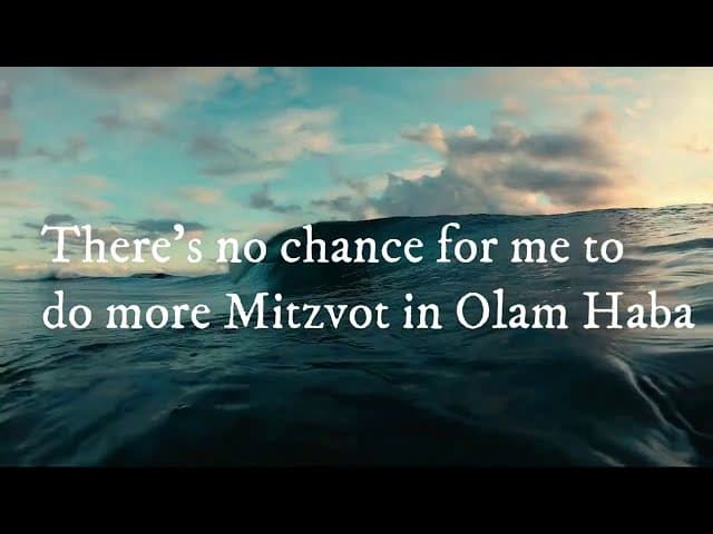 Yosef The Stingy Tzadik (Amazing True Story a BeEzrat HaShem Inc. Film)