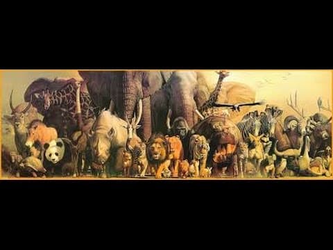 Secrets of The Fourth Plague Of Egypt