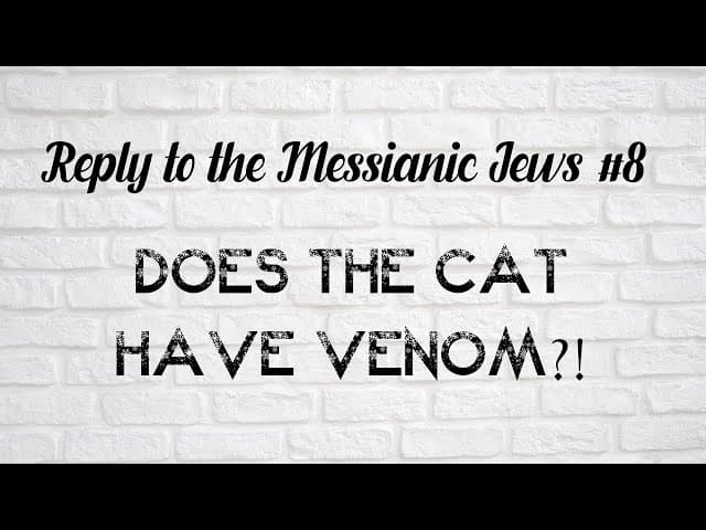 Does The Cat Have Venom?! (Reply To The Messianic Jews #8)