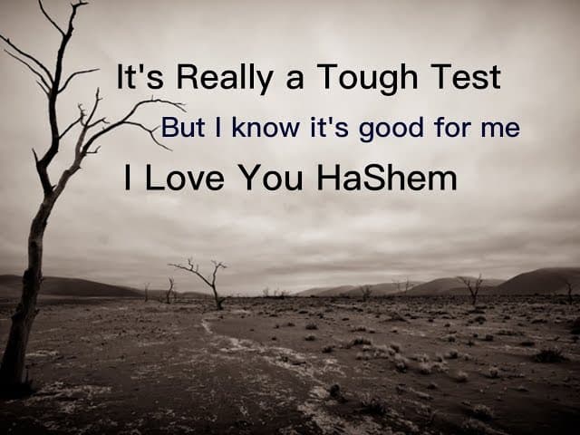 More You Learn Torah  Closer You Get To The Truth!!  Heartbreaking Story