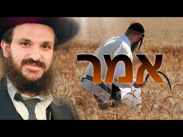 ?פרשת אמור ומה לעשות בזמן הפנוי