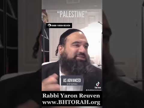Rabbi Reuven Responds To Palestinian Terrorism Supporters #judaism #freepalestine #israel