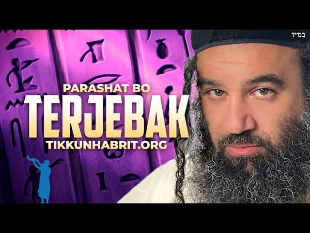Parashat Bo - Terjebak Oleh Dosa