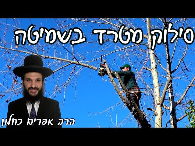 Removal Of A Nuisance In Shemita