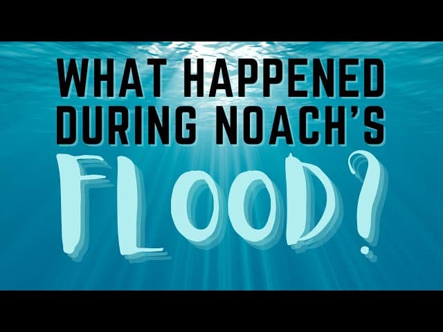 What Happened During Noach's Flood