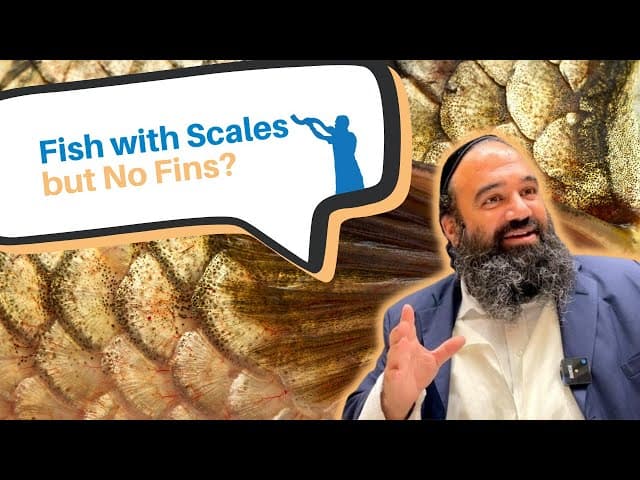 Can science discover a fish that has scales but no fins?