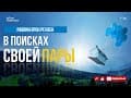 Шлом-Баит (Ключ к семейной гармонии)