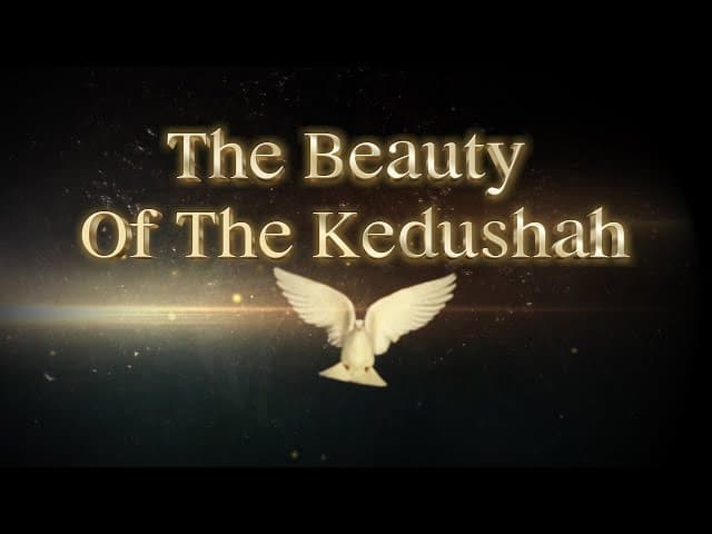 The Beauty Of The Kedushah - Rabbi Yaron Reuven Shlita