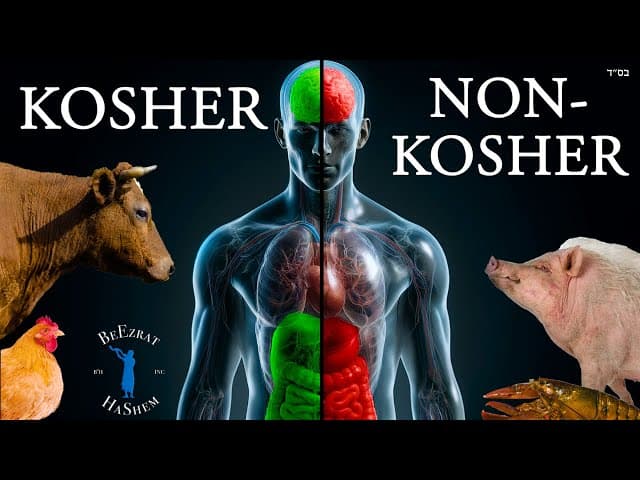 How Non Kosher Food Affects the Body and Soul | BH FILMS