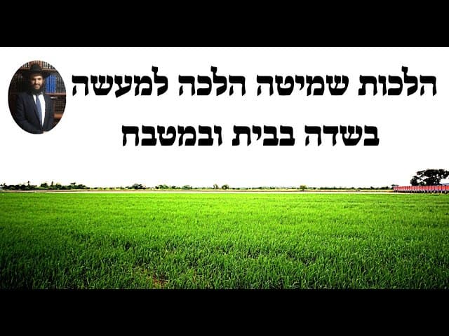 🌲🍂💐🌾🎋🌿🎄☘️🍁🍁🍂 הלכות שמיטה הלכה למעשה בשדה בבית ובמטבח