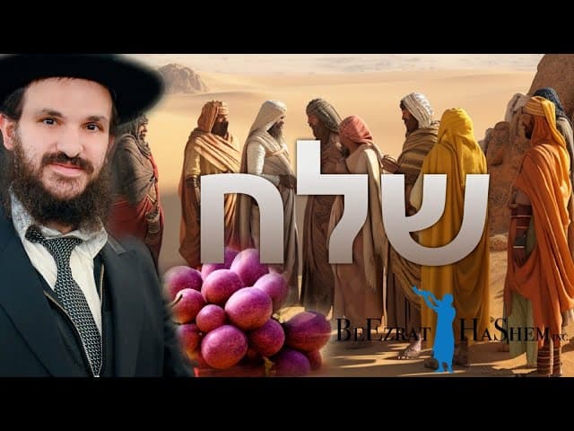 פרשת שלח תפסיקו להתלונן ולקטר