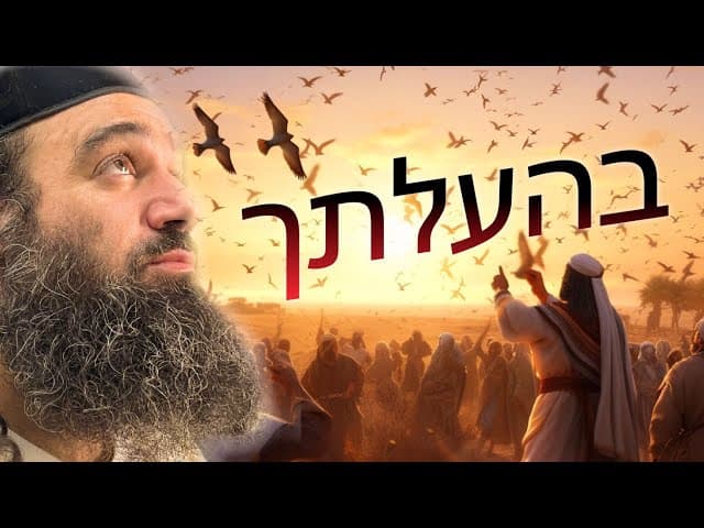 פרשת בהעלותך | אהבת הגר