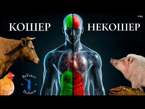 кошерная еда