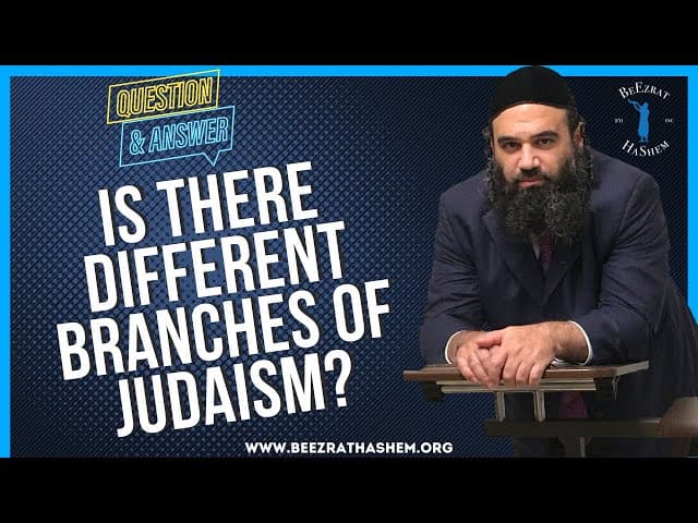   IS THERE DIFFERENT BRANCHES OF JUDAISM