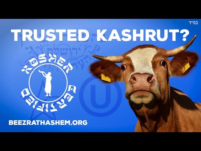 KOSHER MEAT - Which Kashrut Can Be Trusted?