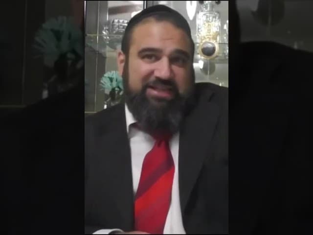 Toil In The Torah