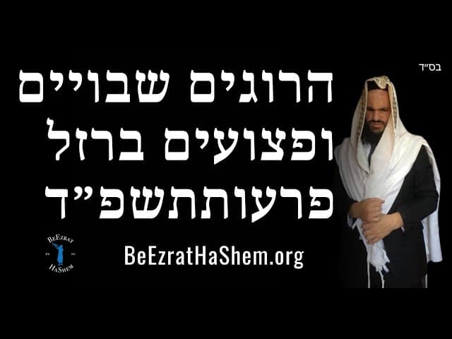 הרוגים שבויים ופצועים ברזל פרעותתשפ״ד#
