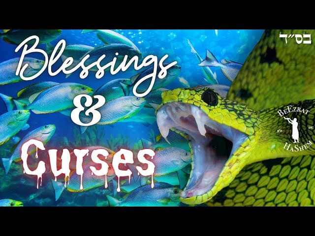 Why did Noach Curse Canaan Instead of Ham?