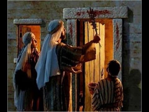 פרשת וארא מידת הרחמים של ה'
