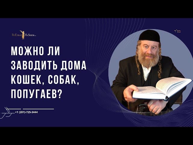 Можно ли заводить дома кошек, собак, попугаев?