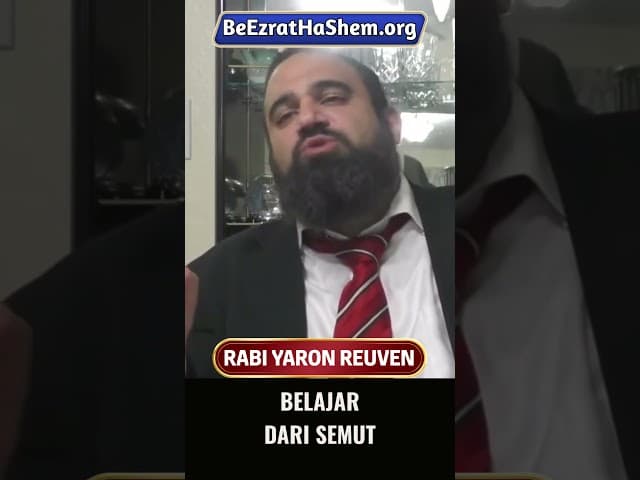 Apakah Anda Lebih Malas dari Semut? #Torah #Taurat #Yahudi #RabiYaronReuven