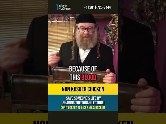 Chicken + Blood = Pig ⁉️ Basic Torah Laws of Kosher #shorts