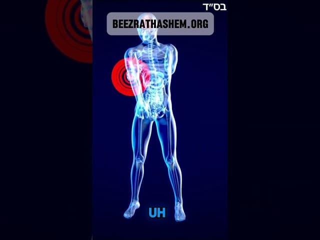 Why Does Your Body Hurt