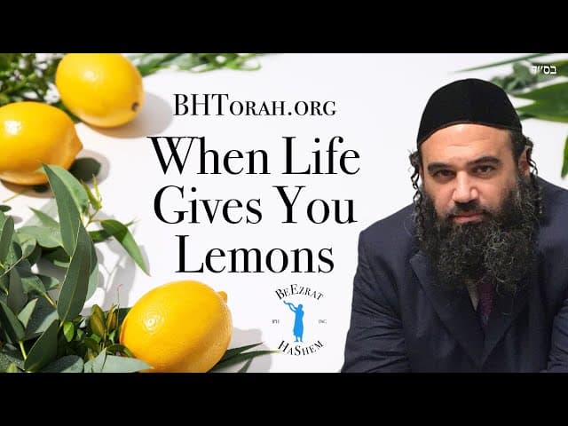 Buying Etrogim for Sukkot 🍋 🌿