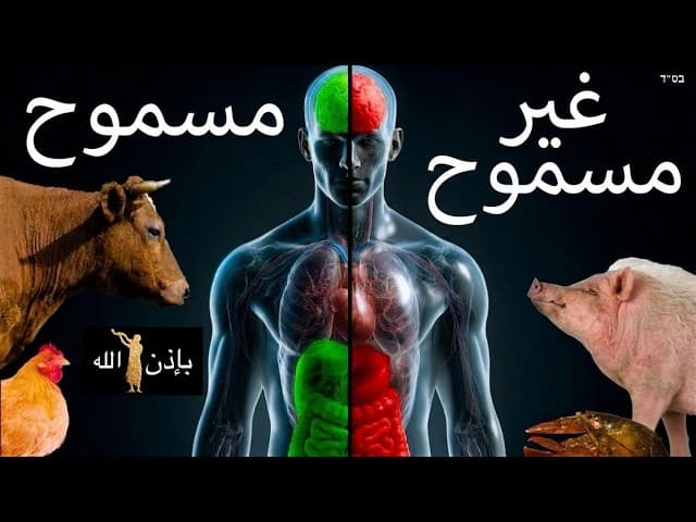 كيف يؤثر الطعام غير الكوشر على الجسم والروح.