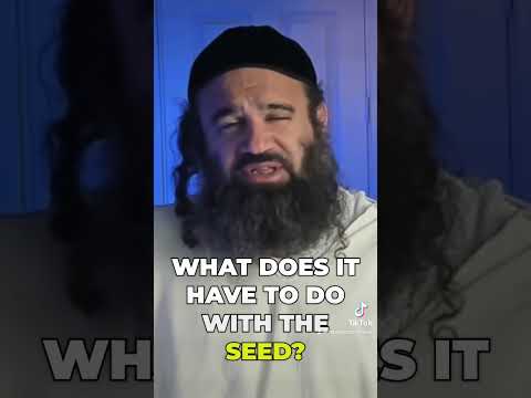Watch JEWISH INTIMACY (18) #intimacy #jewish #torah #purim #rabbiyaronreuven #holy