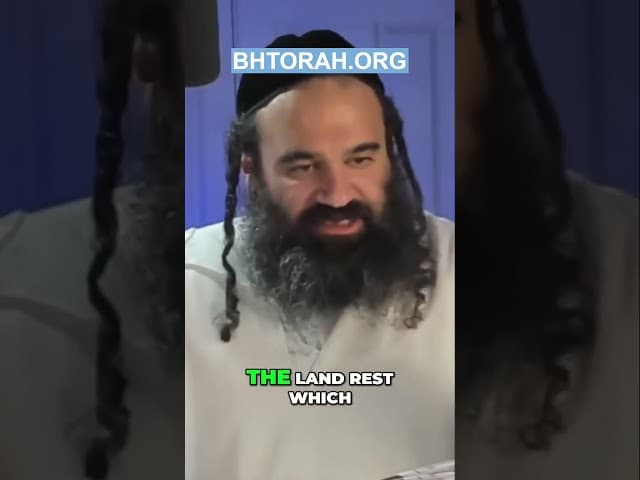 Unlocking the Secrets of Shemitah: Enhancing Land's Productivity Discover the true purpose of the Sh