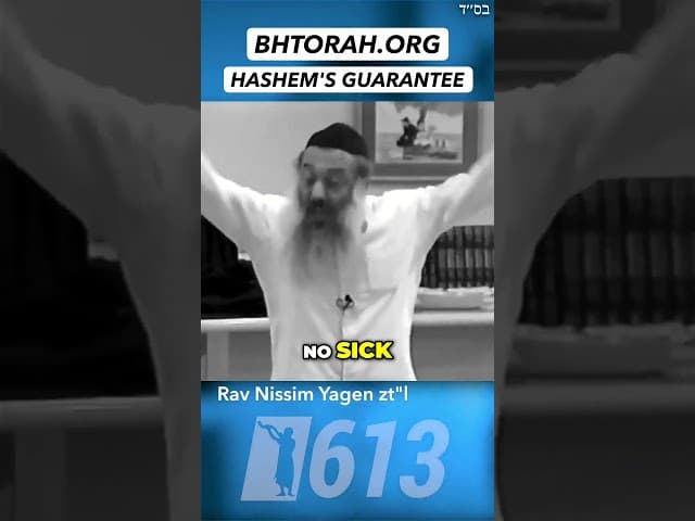 Torah is God's Guarantee for Happiness For The Jewish People #Torah #Jewish #wisdom