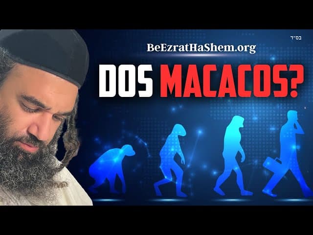 Quem ensina que viemos dos macacos?