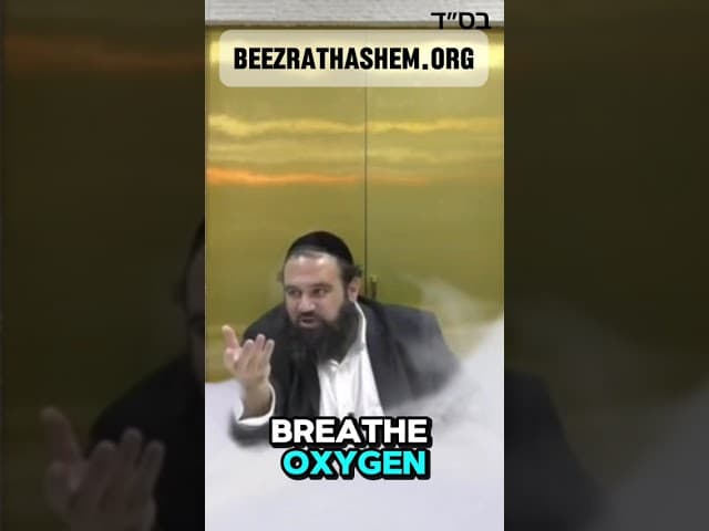Creation Testifies For Creator