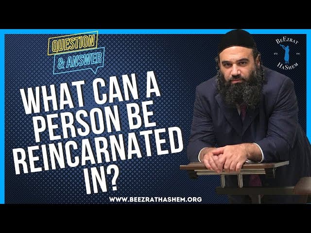  WHAT CAN A PERSON BE REINCARNATED IN