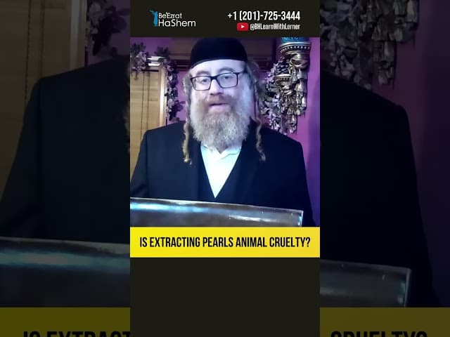 Is Extracting Pearls Animal Cruelty? #Torah #shorts