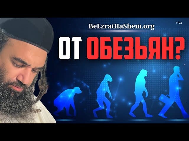 Кто Учит, Что Мы Произошли От Обезьян?