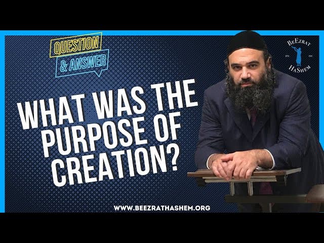   What was the purpose of creation